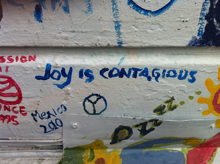 joy is contagious lanzendorfer